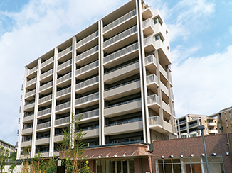 公社のいま画像