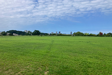 青葉公園